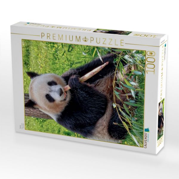 Produktbild: CALVENDO Puzzle Panda | 1000 Teile Lege-Gr&ouml;&szlig;e 64x48cm Foto-Puzzle f&uuml;r gl&uuml;ckliche Stunden