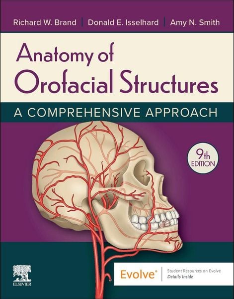 Produktbild: Anatomy of Orofacial Structures