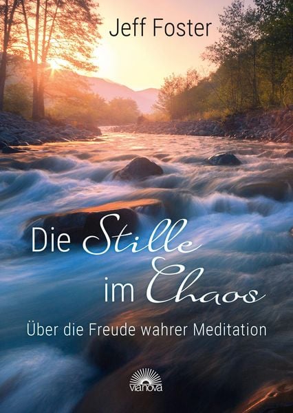 Produktbild: Die Stille im Chaos: &Uuml;ber die Freude wahrer Meditation