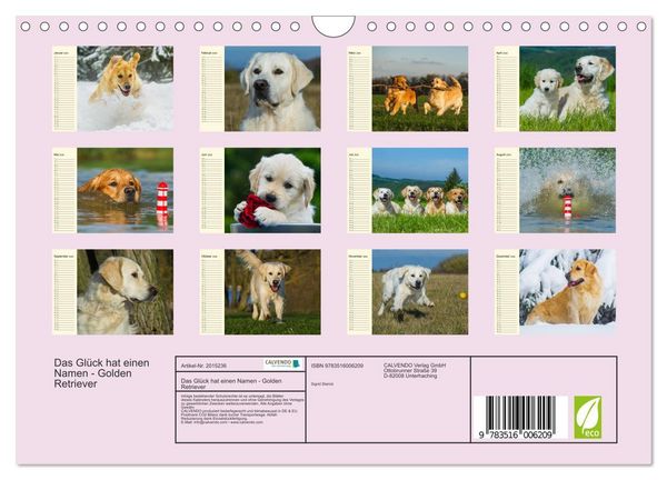 Produktbild: Das Gl&uuml;ck hat einen Namen - Golden Retriever (Wandkalender 2026 DIN A4 quer), CALVENDO Monatskalender