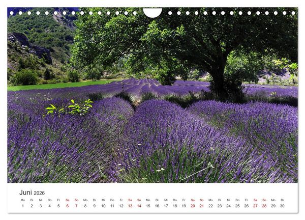 Produktbild: Relax, Momente der Ruhe (Wandkalender 2026 DIN A4 quer), CALVENDO Monatskalender