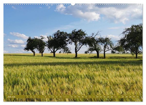 Produktbild: Apfelbaum und Streuobstwiesen (Wandkalender 2026 DIN A2 quer), CALVENDO Monatskalender