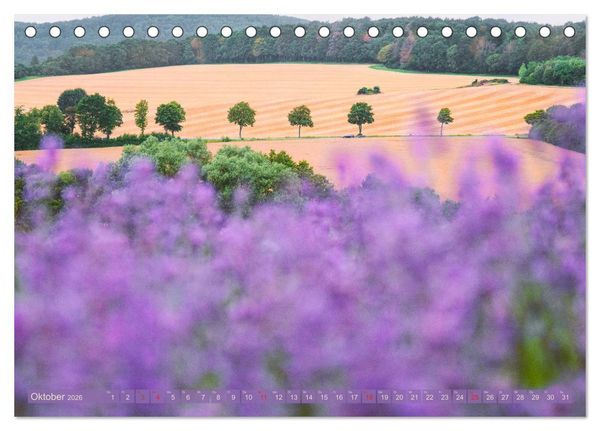 Produktbild: Natursch&ouml;nheiten - mit Bl&uuml;ten und Pflanzen durch das Jahr (Tischkalender 2026 DIN A5 quer), CALVENDO Monatskalender