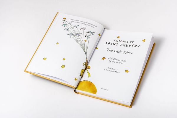 Produktbild: The Little Prince