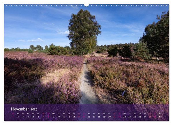 Produktbild: Im Herzen der L&uuml;neburger Heide (Wandkalender 2026 DIN A2 quer), CALVENDO Monatskalender