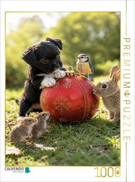 CALVENDO Puzzle Die Kugel voller Wunder | 1000 Teile Lege-Größe 64x48cm Foto-Puzzle für glückliche Stunden