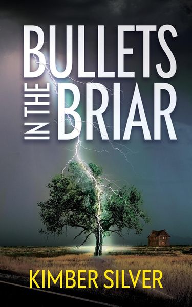 Produktbild: Bullets in the Briar