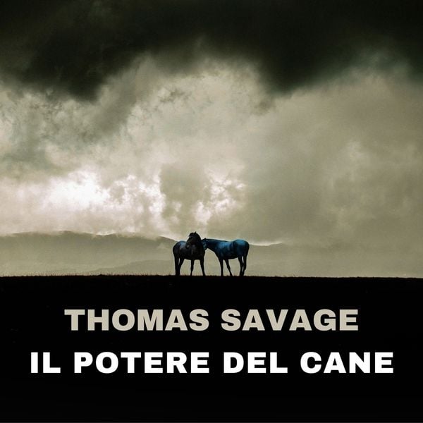 Produktbild: Il potere del cane