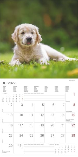 Produktbild: Hunde 2027