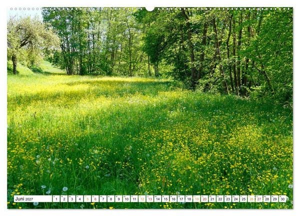 Produktbild: 12 Monate Natur (Wandkalender 2027 DIN A2 quer), CALVENDO Monatskalender