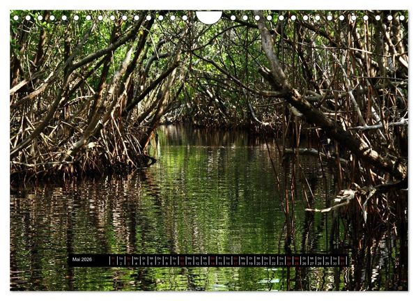 Produktbild: Florida Impressionen (Wandkalender 2026 DIN A4 quer), CALVENDO Monatskalender
