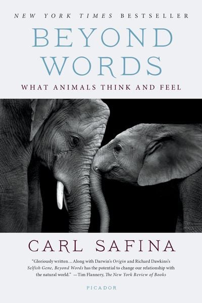 Beyond Words, Taschenbuch von Carl Safina, Macmillan US, 978-1-250-09459-9