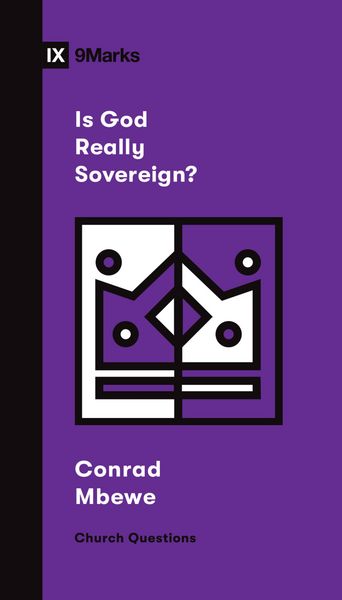 Produktbild: Is God Really Sovereign?
