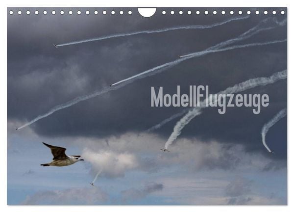 Produktbild: Modellflugzeuge Nr. 1 / 2026 (Wandkalender 2026 DIN A4 quer), CALVENDO Monatskalender