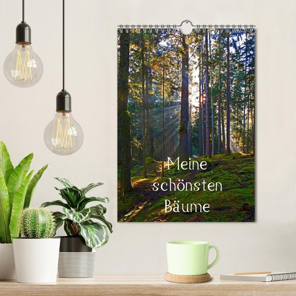 Produktbild: Meine sch&ouml;nsten B&auml;ume (Wandkalender 2026 DIN A4 hoch), CALVENDO Monatskalender