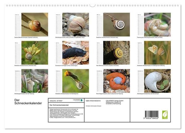 Produktbild: Der Schneckenkalender (hochwertiger Premium Wandkalender 2026 DIN A2 quer), Kunstdruck in Hochglanz