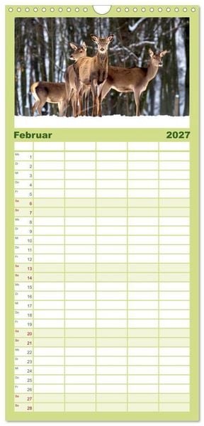 Produktbild: Familienplaner 2027 - Die Tiere des Waldes mit 5 Spalten (Wandkalender, 21 x 45 cm) CALVENDO