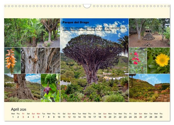 Produktbild: Enchanting Tenerife (Wall Calendar 2026 DIN A3 landscape), CALVENDO 12 Month Wall Calendar