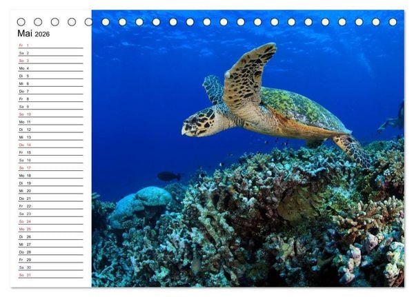 Produktbild: Faszination Tauchen. Neptuns Reich (Tischkalender 2026 DIN A5 quer), CALVENDO Monatskalender