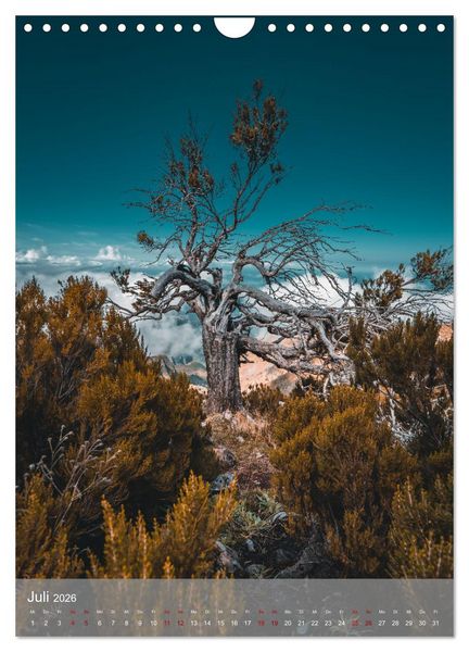 Produktbild: Madeira - Zauber einer Insel (Wandkalender 2026 DIN A4 hoch), CALVENDO Monatskalender