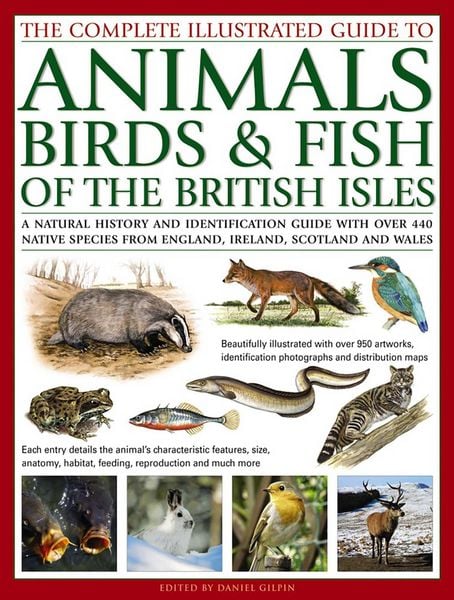 Produktbild: The Complete Illustrated Guide to Animals, Birds & Fish of the British Isles
