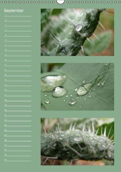 Produktbild: Zauberwelt der Blumen - Eiskristalle & Wasserperlen / Geburtstagskalender (Wandkalender immerw&auml;hrend DIN A3 hoch)
