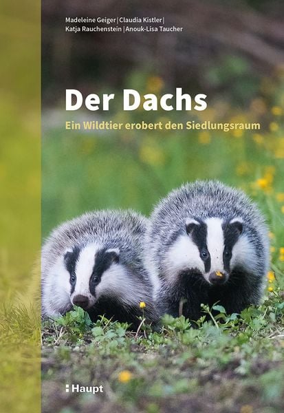 Produktbild: Der Dachs