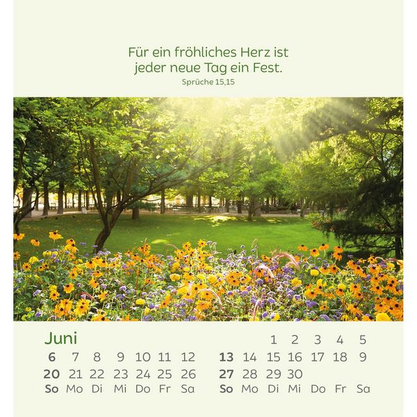 Produktbild: Kleine Blumengr&uuml;&szlig;e 2027