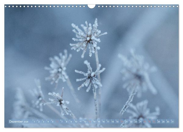 Produktbild: Die Poesie der Pflanzenwelt - Im Wandel der Jahreszeiten (Wandkalender 2026 DIN A3 quer), CALVENDO Monatskalender