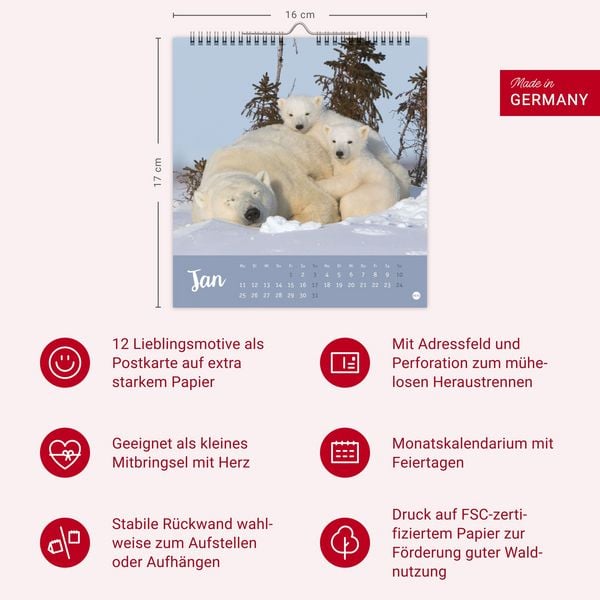 Produktbild: B&auml;renstark Postkartenkalender 2027