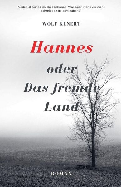 Produktbild: Hannes oder Das fremde Land