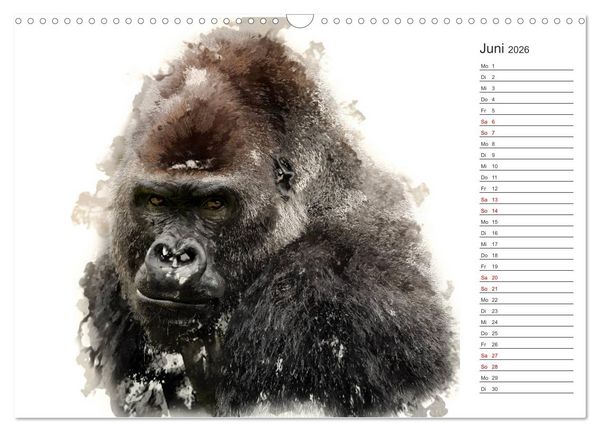 Produktbild: Tierportraits - Fine Art (Wandkalender 2026 DIN A3 quer), CALVENDO Monatskalender