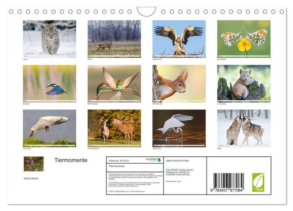Produktbild: Tiermomente (Wandkalender 2026 DIN A4 quer), CALVENDO Monatskalender