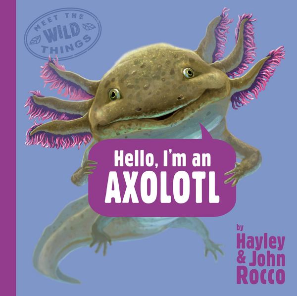 Produktbild: Hello, I'm an Axolotl (Meet the Wild Things, Book 4)