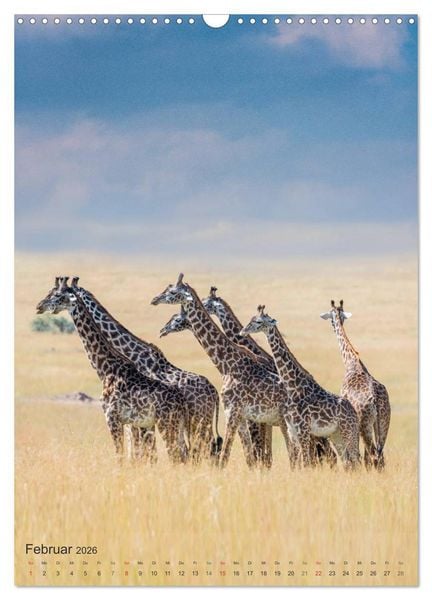 Produktbild: Emotionale Momente: Giraffen, die h&ouml;chsten Tiere der Welt. (Wandkalender 2026 DIN A3 hoch), CALVENDO Monatskalender
