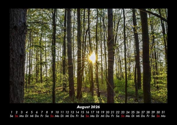 Produktbild: Natur 2026 Fotokalender DIN A3