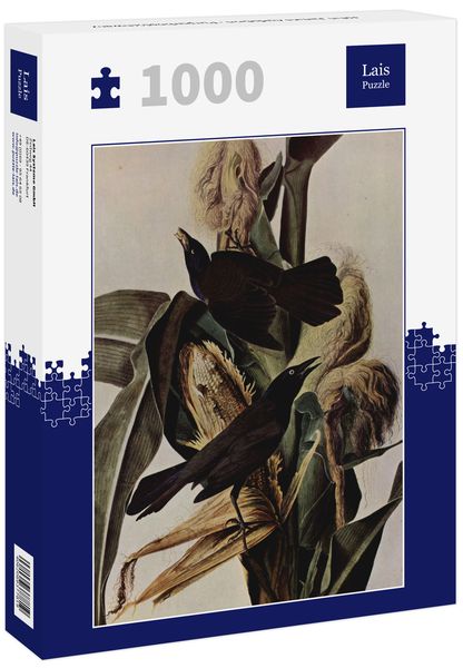 Produktbild: Lais Puzzle John James Audubon - Purpurbootschwanz 1000 Teile
