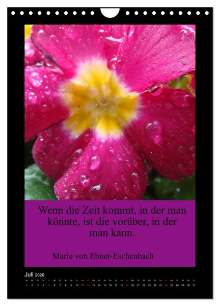Produktbild: Lebensweisheiten mit Blumigen Gr&uuml;&szlig;en (Wandkalender 2026 DIN A4 hoch), CALVENDO Monatskalender