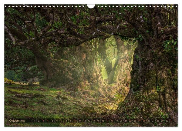 Produktbild: Madeira, Insel zwischen Himmel und Meer (Wandkalender 2026 DIN A3 quer), CALVENDO Monatskalender