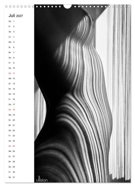 Produktbild: Akt abstrakt (Wandkalender 2027 DIN A3 hoch), CALVENDO Monatskalender