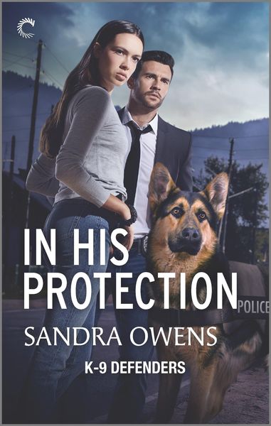 Produktbild: In His Protection