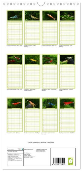 Produktbild: Familienplaner 2026 - Dwarf Shrimps - kleine Garnelen mit 5 Spalten (Wandkalender, 21 x 45 cm) CALVENDO