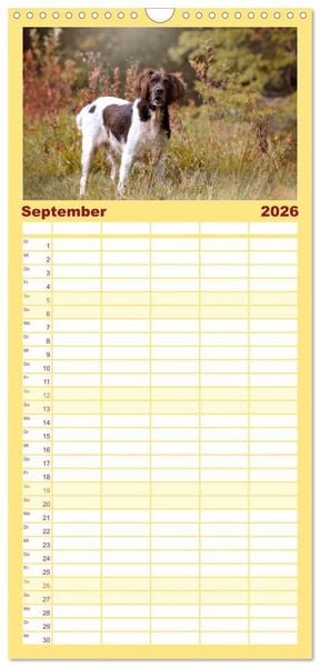 Produktbild: Familienplaner 2026 - Passion Jagdhund - Kleiner M&uuml;nsterl&auml;nder mit 5 Spalten (Wandkalender, 21 x 45 cm) CALVENDO