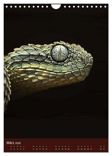 Produktbild: The Power Of Snake (Wandkalender 2026 DIN A4 hoch), CALVENDO Monatskalender