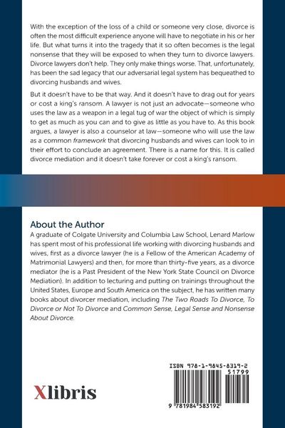 Produktbild: A Common Sense, Practical Guide to Divorce in New York
