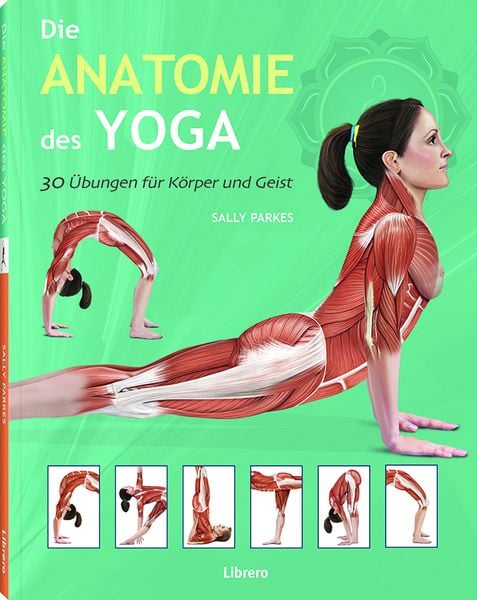 Produktbild: Die Anatomie des Yoga