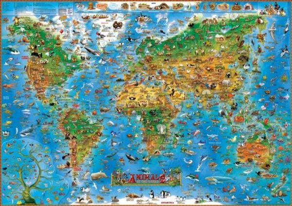 Produktbild: Animals of the World kids wall map laminated