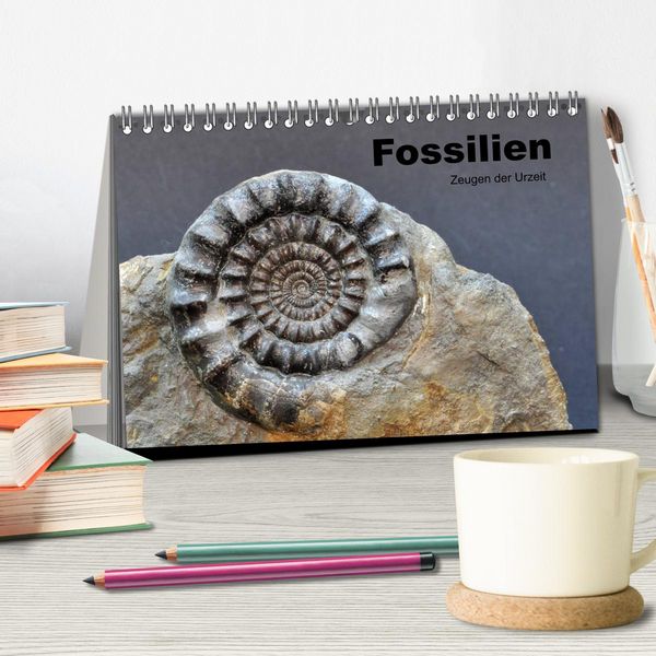 Produktbild: Fossilien - Zeugen der Urzeit (Tischkalender 2026 DIN A5 quer), CALVENDO Monatskalender