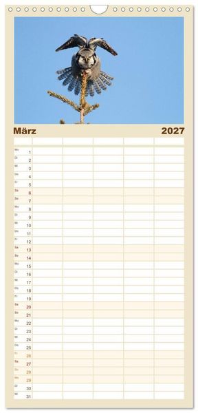 Produktbild: Familienplaner 2027 - Heimische Eulen und Greife mit 5 Spalten (Wandkalender, 21 x 45 cm) CALVENDO