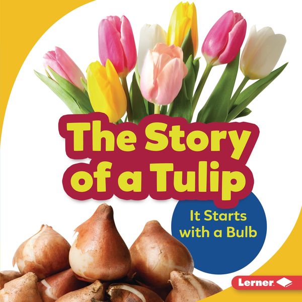 Produktbild: Story of a Tulip